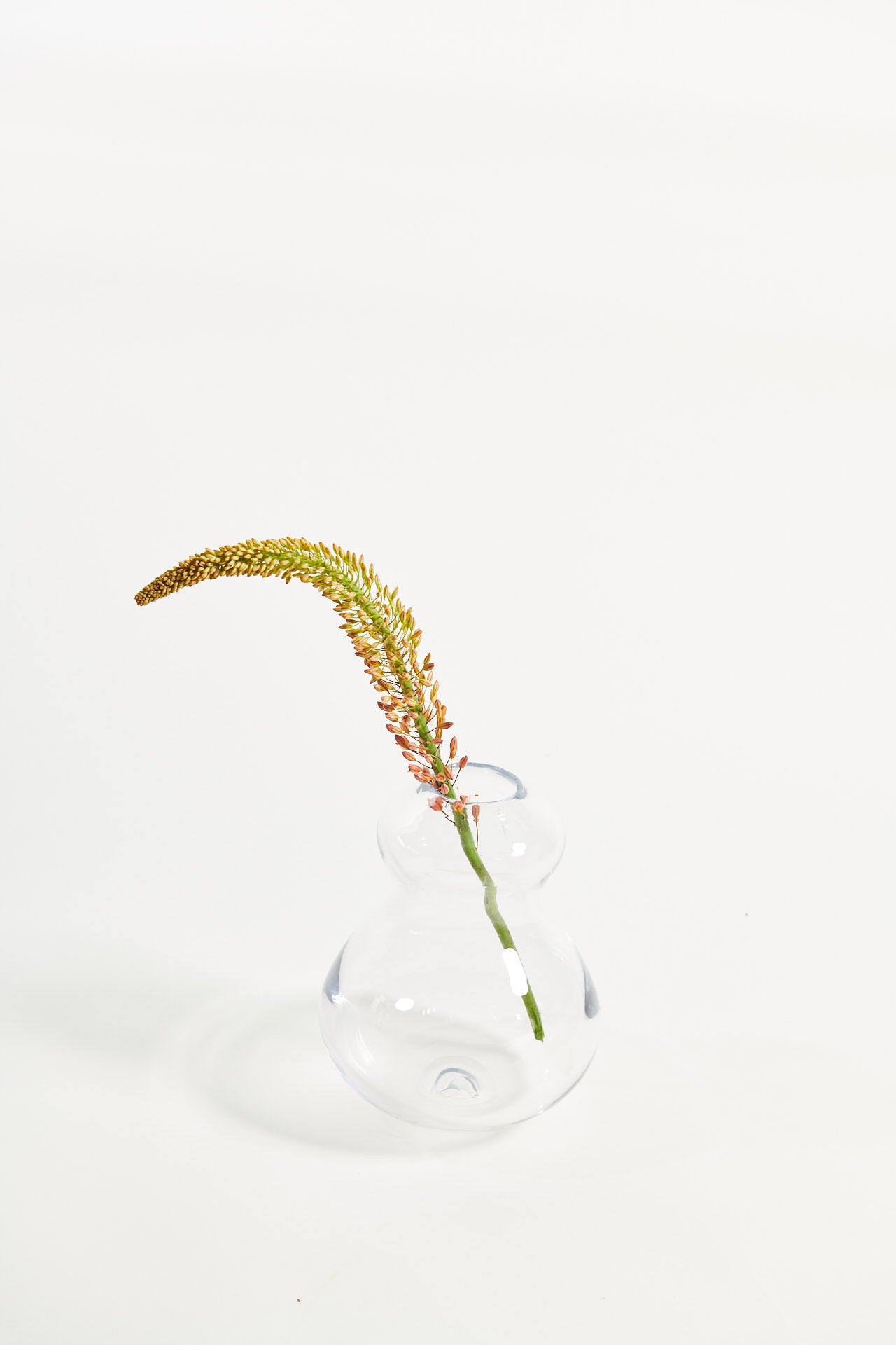 ALCHEMIST VASE